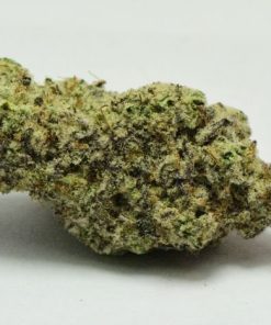 Purple MAC Cannabis Strain, available in Australia