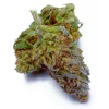Purple Punch Weed Strain, available in Australia