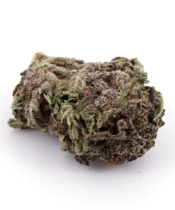 Purple Urkle Marijuana Strain, available in Australia