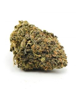 Purple White Lightning Weed, available in Australia