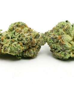 Rockstar Punch Hybrid Marijuana cannabis strain, available in Australia