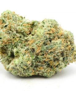 Space Zookies Cannabis Flower cannabis strain, available in Australia