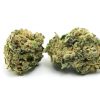Tom Ford Pink Kush Marijuana Strain, available in Australia