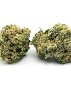Tom Ford Pink Kush Marijuana Strain, available in Australia
