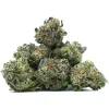 Trainwreck Popcorn Weed, available in Australia