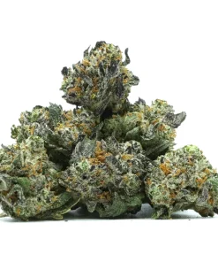 Trainwreck Popcorn Weed, available in Australia