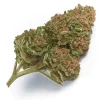 Wabanaki Weed Strain, available in Australia