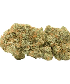 White LSD Marijuana Strain, available in Australia