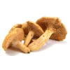 HEDGEHOG DRIED MUSHROOM, available in Australia