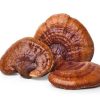 REISHI DRIED MUSHROOMS, available in Australia